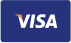 Visa Logo