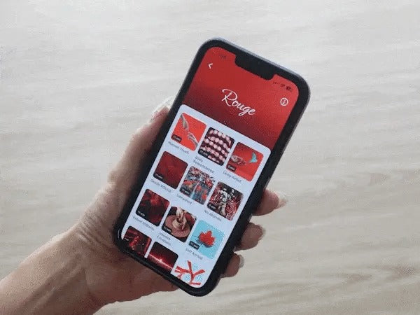 
neuroVIZR-App mit den ROUGE-Inhalten